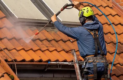 Démoussage et hydrofuge de toiture à Bazian